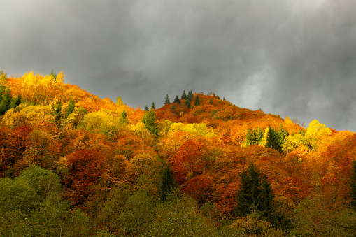 Beautiful autumn colours in Sangeorz-Bai, Transilvania, Romania