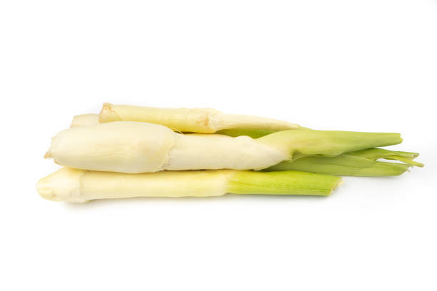 istock Wild rice(wildrice),Zizania latifolia on white background 1763024455