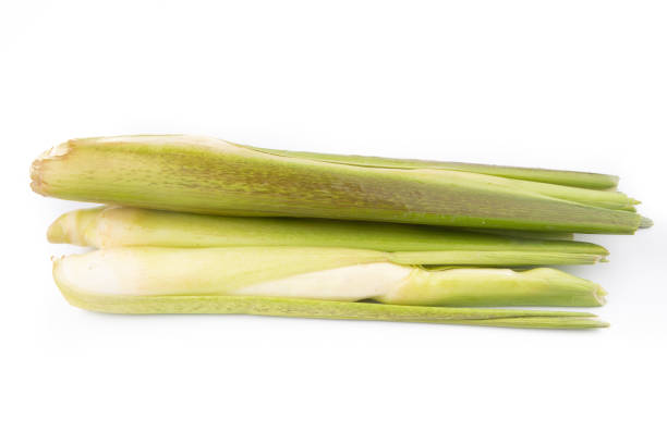 Lemongrass leaf slice isolated on white background.