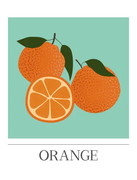 Vector illustration of Orange fruits poster. Organic Healthy Food. Hand-drawn design for cards, posters, wall art, print, packaging design, covers, and banners. Modern simple vector flat illustration.