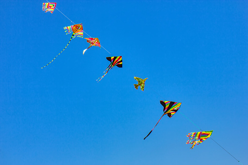 Kids wind kites on the blue sky in the summer