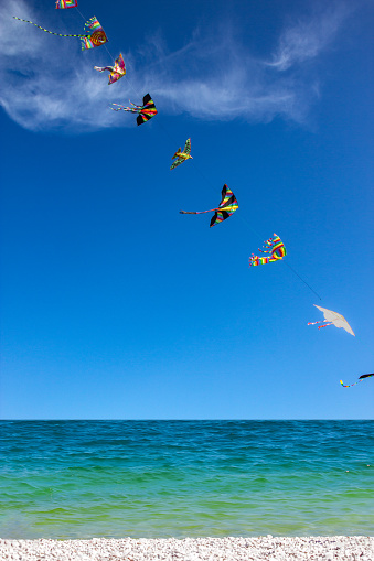Kids wind kites on the blue sky in the summer on the beach