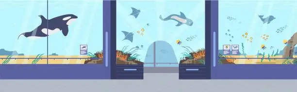 Vector illustration of Oceanarium, marine flora and fauna vector illustration, underwater and sea animals variety, cartoon ocean fishes