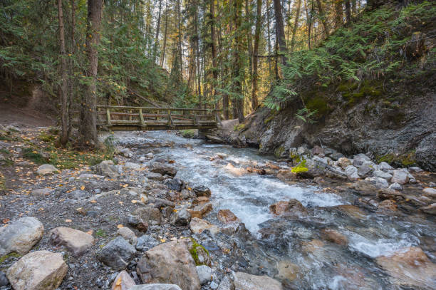 Pedestrian Bridge over Sinclair Creek