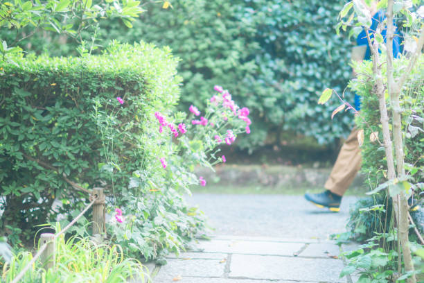 istock Gardens in Kamakura in autumn 1763147429