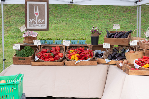 Fresh produce, locally grown, at True Loves Farm's beautiful booth.