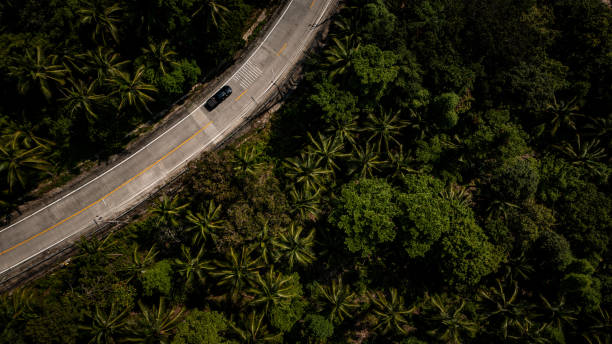istock Koh Phangan, Jungle Ride 1763207888