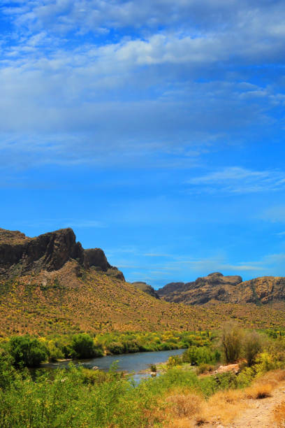 istock Salt River Recreation Area Arizona 1763249169