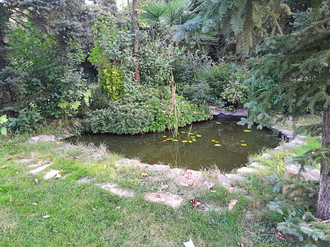 Cloud reflection on pond with water fountain in small neighborhood North of Dallas, Texas, America. Lake house surrounding by matured trees, green grass lawn and cloud blue sky