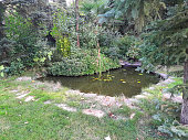 Baroque fountain converted into a romantic glass pond with stones around the perimeter and railings. historic garden with trimmed hedges and old trees. there are park paths