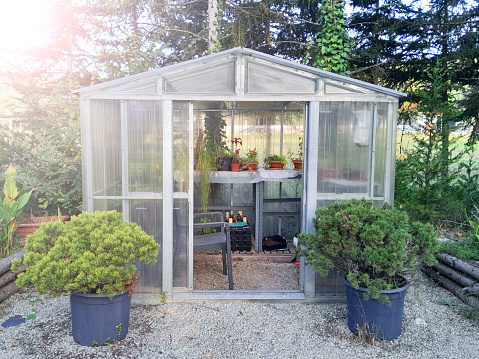 Small greenhouse stands with plants in the garden