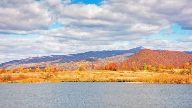 istock countryside landscape by the lake 1763268870