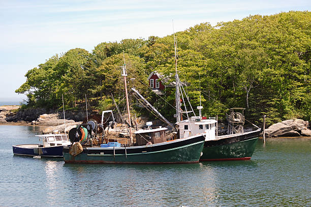 Maine, des chalutiers de pêche - Photo