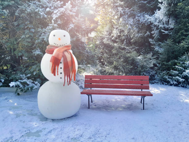 Close up of a nose of a snowman made of wooden log wearing purple and pink hat and scarf