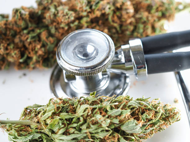istock cannabis buds and stethoscope on  white background. 1763284288