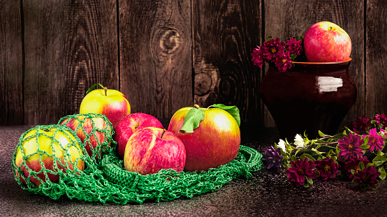 A harvest of red and green apples in a green knitted eco-bag. Autumn composition with aster flowers on a dark background, a pot in a rustic style.