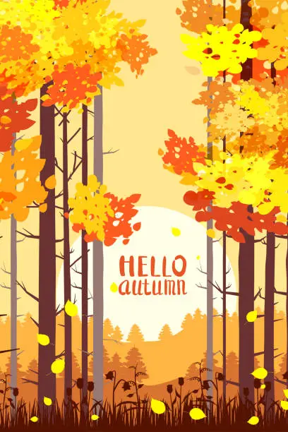 Vector illustration of Poster Hello Autumn forest, park landscape, sunset