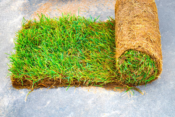 istock roll of artificial turf with green grass 1763320895