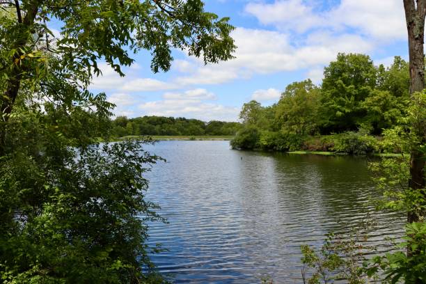 istock Quiet Pond in the Park 1763324884