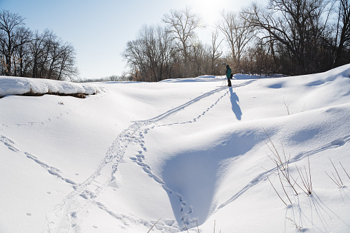 tracks in the snow leading towards the horizon