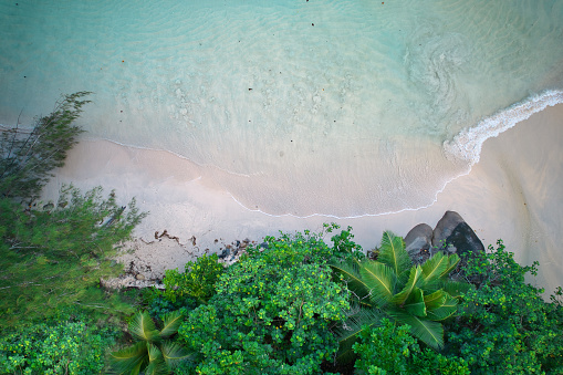 Drone bird eye view of Anse louis, Louis beach, white sandy beach, turquoise water Mahe Seychelles 3