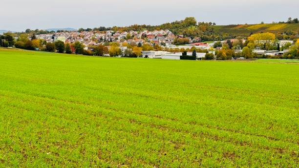 istock Freshyl sown Field and the small town 1763339900