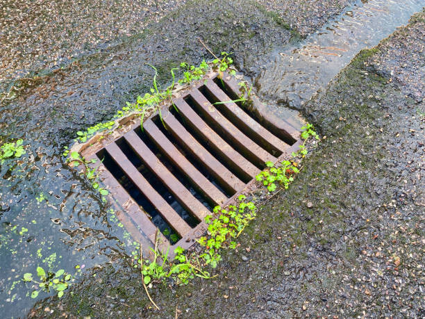istock Street sewer drain cover 1763339997