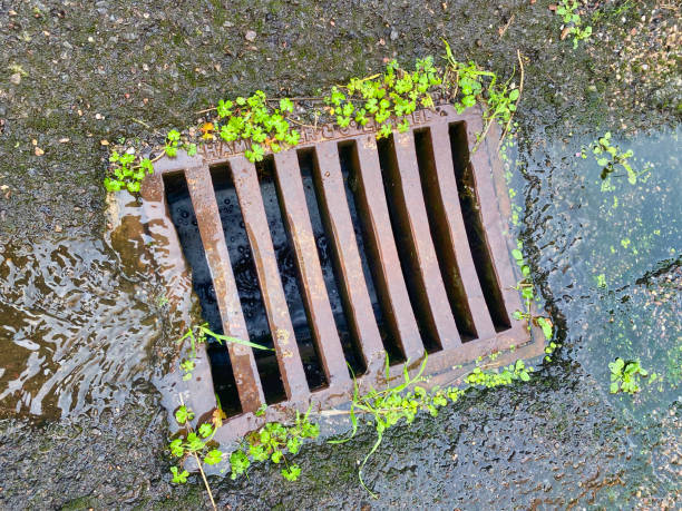 istock Street sewer drain cover 1763340003