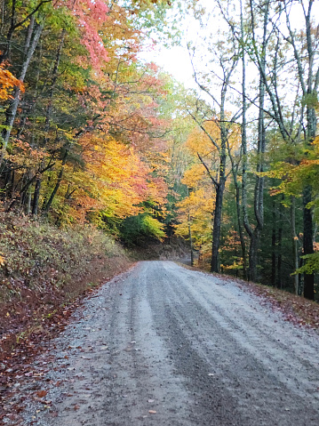 Single Lane Road in the country in Autumn - Vinton County, Ohio, USA