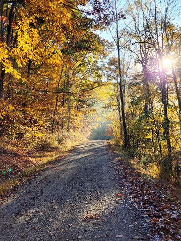 Single Lane Road in the country in Autumn - Vinton County, Ohio, USA - Sun is shining bright through the trees