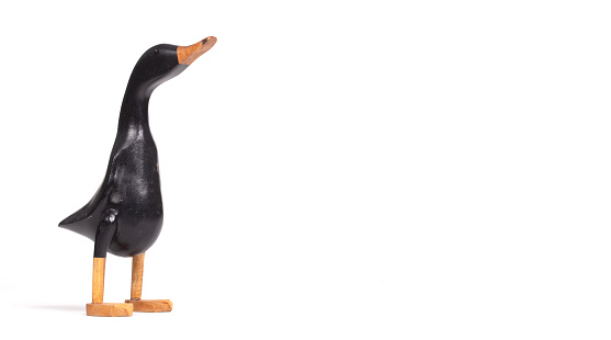 Funny wooden black duck on a white background