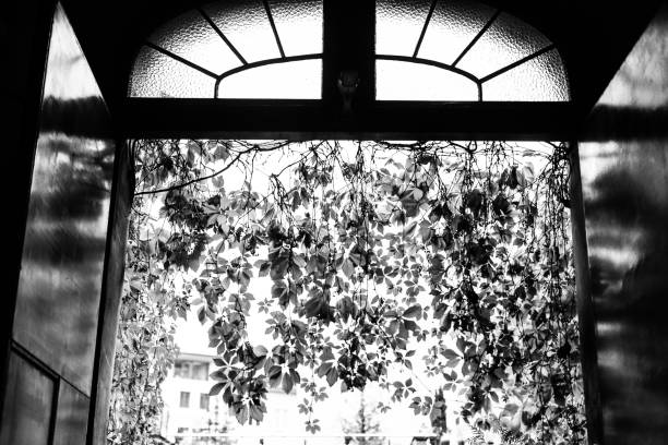 Gate in Tenement House, Tunnel, Door. Black and White. Krakow.