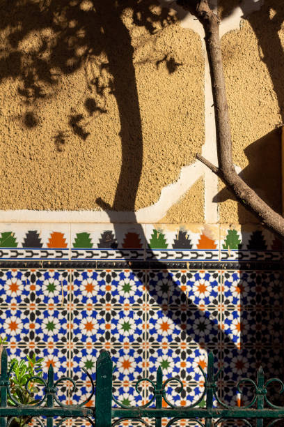 istock Algiers (Alger), Algeria : Beautiful compostion with traditional ottoman ceramic decoration on a wall, a metallic barrier, a tree and its shadow. 1763349349