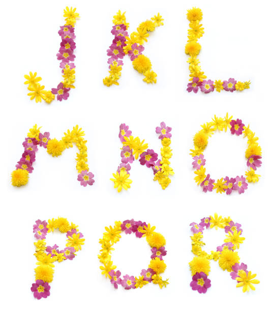 set of beautiful flowers arrangement with pink and yellow real fresh flower, combined letter j with k l m n o p q r alphabets - letter l letter p letter j letter m imagens e fotografias de stock