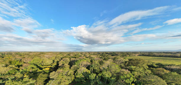 istock Mombacho volcano on green nature background 1763351593