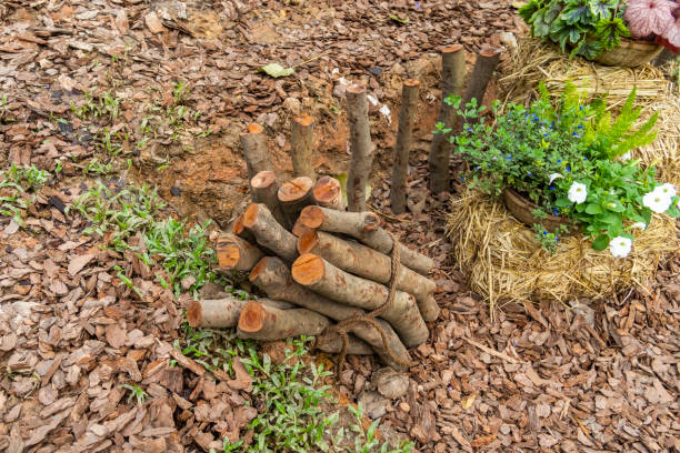 istock fallen trees are collected and transported for processing as chopped firewood for the fireplace and stove of the house 1763355015