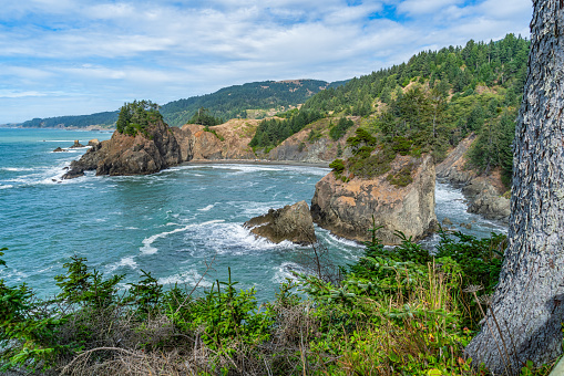 A view of the scenic shoreline near Arch Rock State Park in Oregon State.