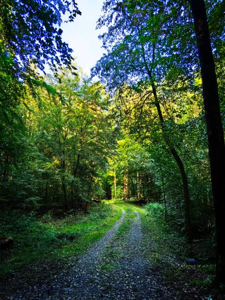 istock Walk in October in Northern Germany 1763362083