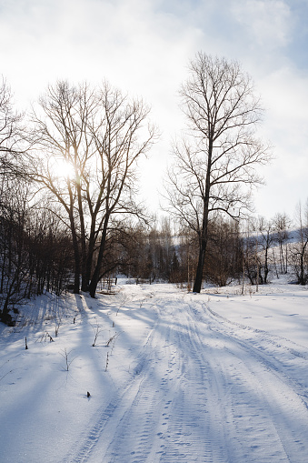 Forest nature winter the sun shines through the clouds, sunlight, shadows from the trees fall on the snow. cold weather, spring has come. High quality photo