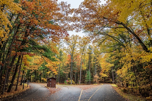 Higgins Lake, Michigan.  Higgins Lake South State Park, autumn, fall colors, tree lined road.