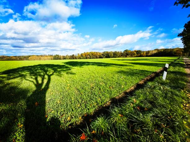 istock Walk in October in Northern Germany 1763364827