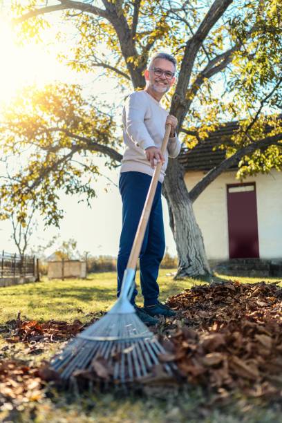istock Man collecting fallen autumn leaves in the yard 1763377970
