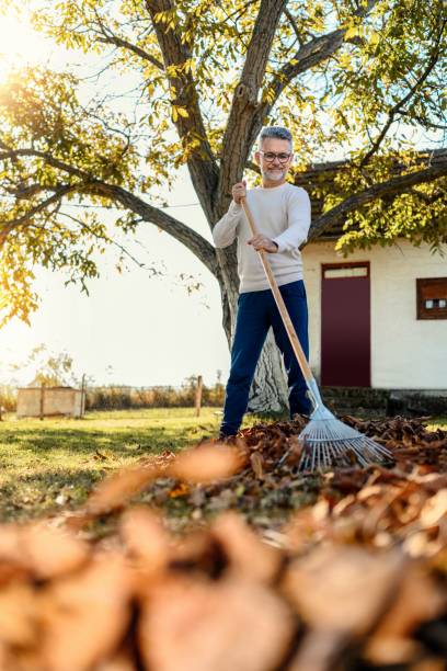 istock Man collecting fallen autumn leaves in the yard 1763377983