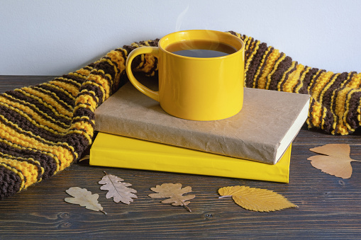 Autumn concept. Books, warm scarf, yellow leaves and cup of coffee. Copy space