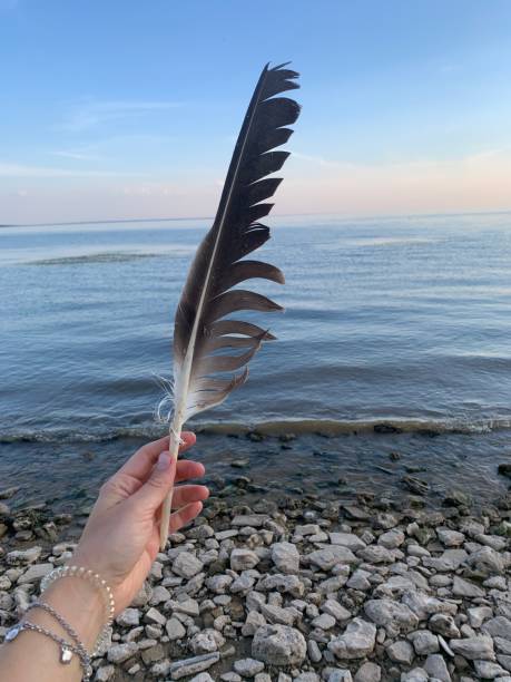 istock Woman holding bkacj bird feather 1763405509
