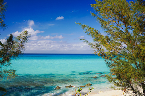 Bimini , Bahamas beach