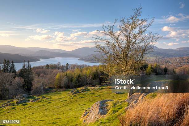 Photo libre de droit de Lac Windermere Du Cumbria Angleterre banque d'images et plus d'images libres de droit de Lac Windermere - Lac Windermere, Région des lacs de Cambrie, Windermere District