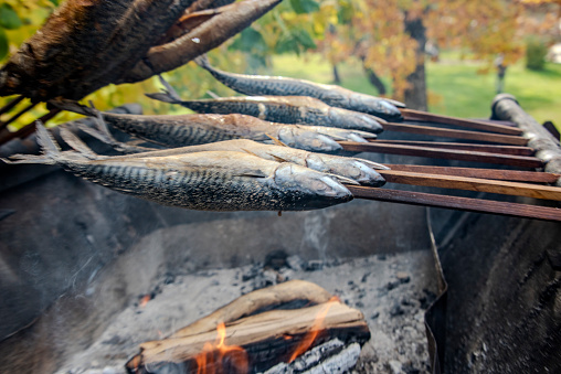 Barbecue stockfish grilled trout fish on stocks with fire smoke