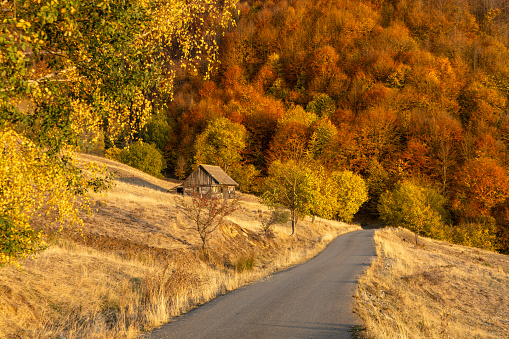 Beautiful autumn colours , Transilvania, Romania