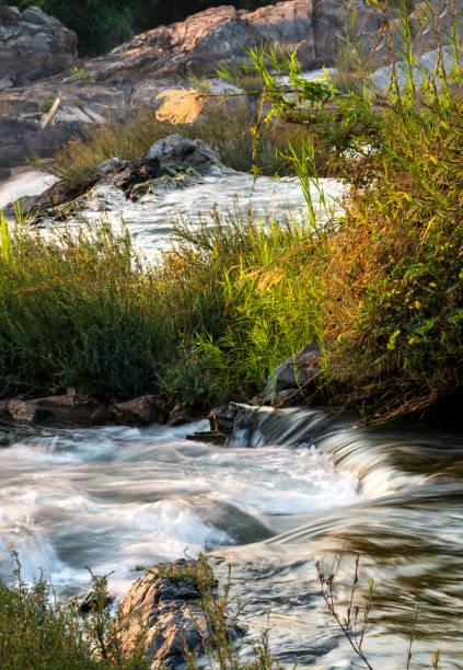 istock Li Phi Somphamit Waterfalls-Don Khon island,Si Phan Don,Southern Laos. 1763457558